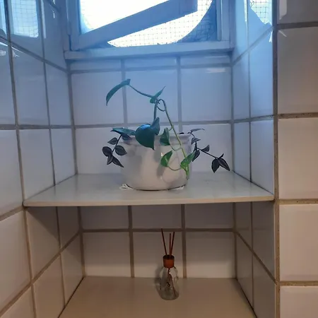 Casa Mia All'appio Latino Apartment Rome